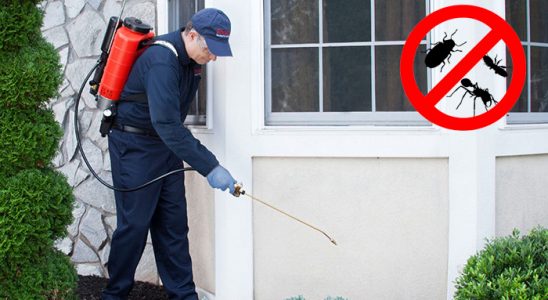Doğankent Fare İlaçlama böcek ilaçlama ve haşere kontrolü — ilaclama-tr.com